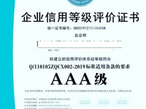 一级 AAA 与二级 AAA 证书对比一：了解产品，选择更优