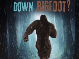 bigfoot已被禁用,Bigfoot 已被禁用，你知道为什么吗？