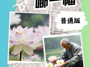 老人船上弄雨荷第13集介绍 老人船上弄雨荷第 13 集：神秘老人的真实身份即将揭晓