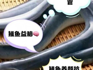 幻塔香辣鳗鱼的神秘功效：揭示其独特魅力与实用价值解析