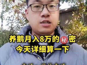 养鹅千只盈利与成本解析：深度探讨养鹅产业的利润与成本结构