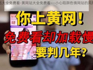 黄网站大全免费看-黄网站大全免费看——小心陷阱色情网站的风险与危害