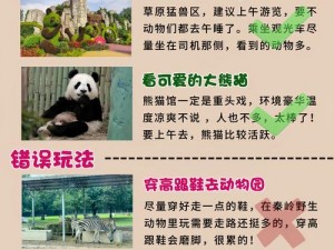 动物朋友展览区新手畅游指南：全面攻略带你开启奇妙之旅