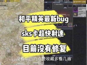 绝地求生刺激战场四级头隐身术揭秘：卡BUG实战攻略技巧解析