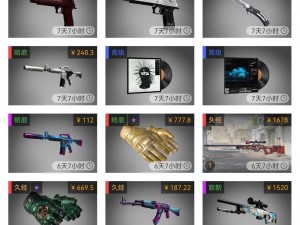 40岁大妈的CSGO角色介绍(40 岁大妈教你快速上手 CSGO大妈教你玩转 CSGO：个性化角色设定)