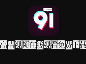 91免费版—91 免费版：无需付费的应用下载平台，安全可靠吗？