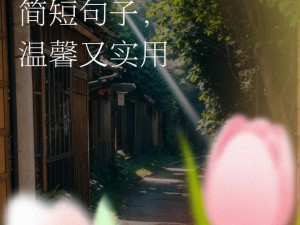 一个加一个好妈妈—一个加一个好妈妈，等于什么？