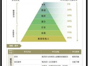 风不怒攻略：掌握关键步骤，轻松应对挑战，实现高效成功之道