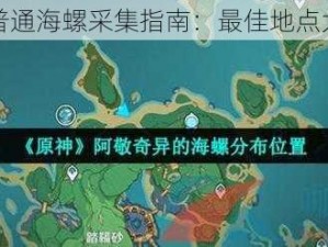 原神普通海螺采集指南：最佳地点大揭秘