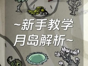 《饥荒月岛：生存与发展的关键作用》