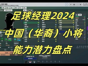 全民冠军足球之星伊尔卡迪：深度解析潜力培养秘诀与实战表现评估