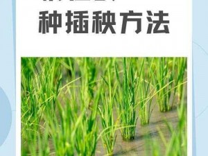 夫妻之间的 108 种插秧法，让夫妻生活更和谐