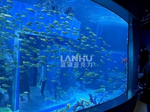 炫酷海底世界：水族馆截图预览——探索神秘的深海奇观