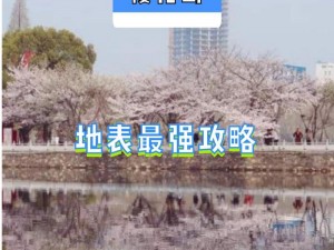 樱花岛网站怎么进入 如何进入樱花岛网站？