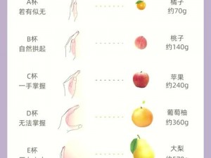 胸40c大概多大-胸 40C 是多大？罩杯 C 下胸围 40 的胸围是多少？