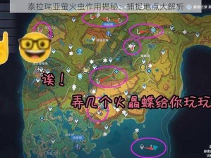 泰拉瑞亚萤火虫作用揭秘：捕捉地点大解析