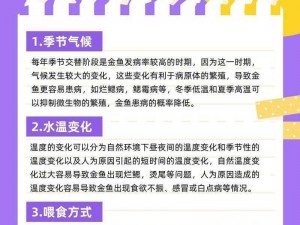 生态行动：金鱼放生的意义与影响深度解析