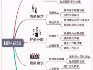 伙伴的选择与培养深度解析：构建更强力团队的关键要素全面探讨