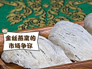 金丝燕窝的获取途径一览：我的侠客全食材来源解析