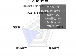 Bdsm 精品肉奴 b d s m，独特设计，极致体验