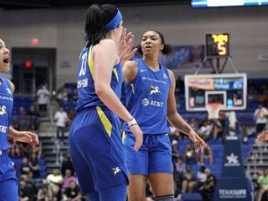 WNBA：天空与神秘人的激烈对决，揭开冠军的神秘面纱