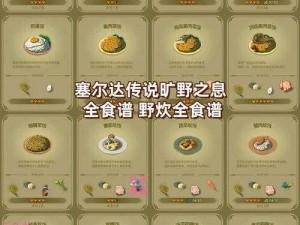 荒野之息星星碎片的奇妙食谱：探索烹饪的秘密与无尽魅力