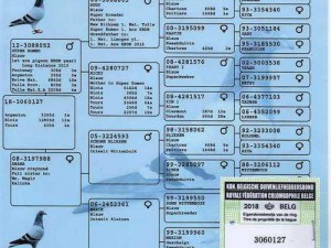 萨米肉鸽意外交换收藏品：失而复得珍贵收藏之旅