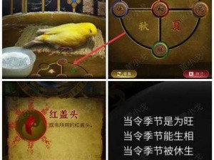 奉天白事铺第二章攻略：深入解析如何顺利度过每一关卡