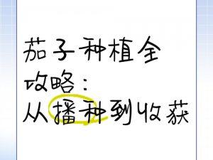 当代人生农作物种植、收获与售卖全攻略：从田间到市场的成功之路