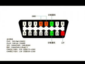 palipali线路检测入口;palipali 线路检测入口在哪？