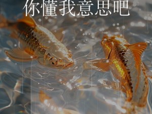 网站你懂我意思正能量晚上在线观看，高清画质，无广告骚扰，让你一次看个够