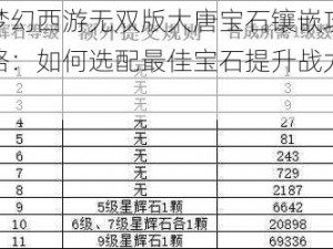 梦幻西游无双版大唐宝石镶嵌攻略：如何选配最佳宝石提升战力？