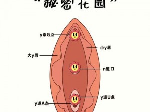 性处破与摘花过程_探索性处破与摘花过程的奇妙之处