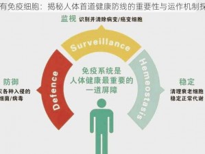 固有免疫细胞：揭秘人体首道健康防线的重要性与运作机制探索