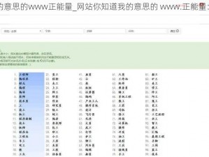 网站你知道我的意思的www正能量_网站你知道我的意思的 www.正能量：你真的知道正能量的含义吗？