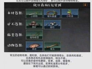 明日之后爪子作用揭秘：获取攻略及实用指南