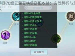 天下手游70级云麓召唤兽搭配攻略：实战解析与最优组合建议