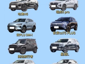 国产suv精品一区二区883、国产 SUV 精品一区二区 883，哪款更值得入手？