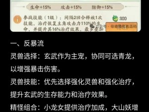 探秘无尽玄武之力：道无穷玄武组合全面玩法介绍