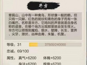 玄元剑仙天界探险装备掉落全攻略：揭秘天上宝物获取大全