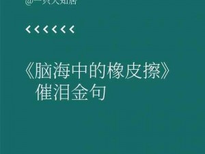 黄丸雄和雅丹的故事小说——神奇的记忆橡皮擦