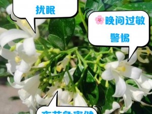 女人晚上莲花开的害处【女人晚上莲花开的害处有哪些？】