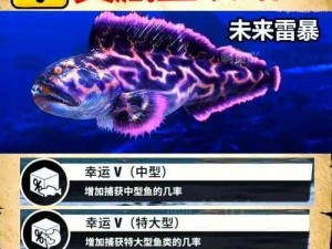 探索神秘海域：冒险岛2海盗隐藏鱼钓鱼地点大揭秘