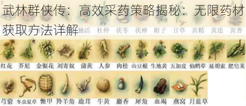 武林群侠传：高效采药策略揭秘：无限药材获取方法详解