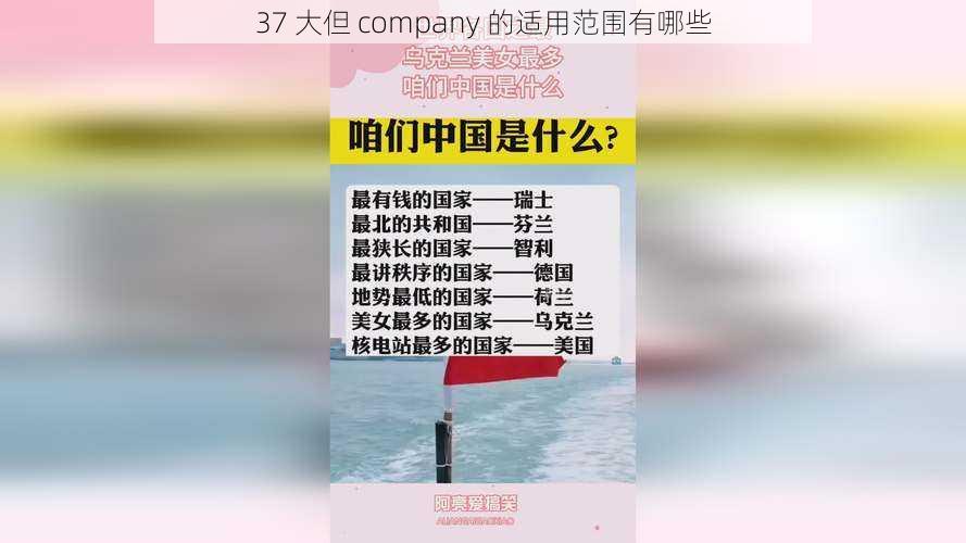 37 大但 company 的适用范围有哪些