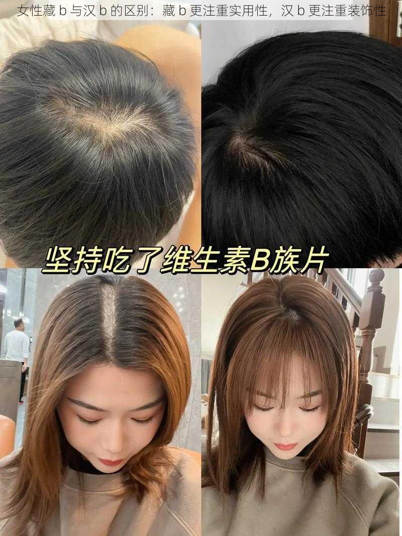 女性藏 b 与汉 b 的区别：藏 b 更注重实用性，汉 b 更注重装饰性