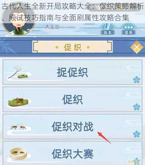 古代人生全新开局攻略大全：促织策略解析、殿试技巧指南与全面刷属性攻略合集