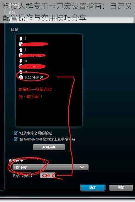 狗凌人群专用卡刀宏设置指南：自定义配置操作与实用技巧分享