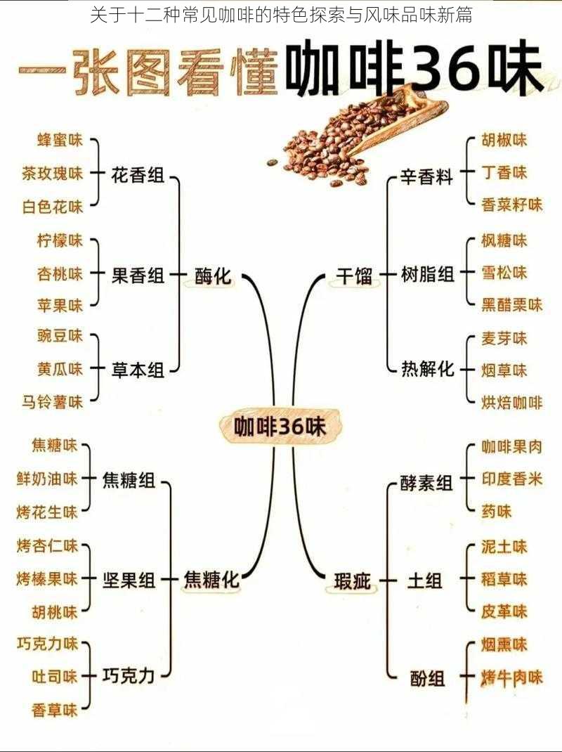 关于十二种常见咖啡的特色探索与风味品味新篇