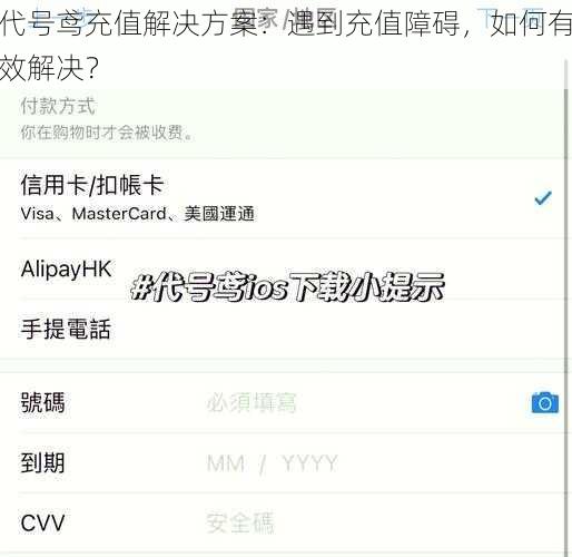 代号鸢充值解决方案：遇到充值障碍，如何有效解决？